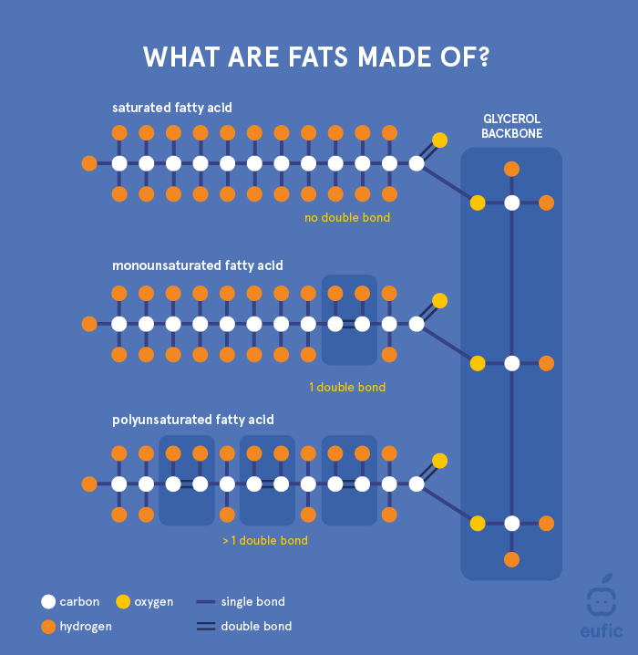 What are Fats Made of